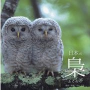 日本の梟 [単行本]