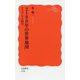 2100年の世界地図―アフラシアの時代(岩波新書) [新書]
