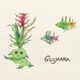 SAKANAMON／GUZMANIA