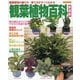 観葉植物百科 新装版（Boutique books） [単行本]