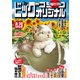 ビッグコミックオリジナル 2019年 8/20号 [雑誌]