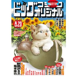 ビッグコミックオリジナル 2019年 8/20号 [雑誌]