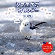 もふもふふわふわ シマエナガ カレンダー 2020（翔泳社カレンダー） [単行本]