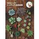 樹脂粘土で作るミニチュア多肉植物 [単行本]