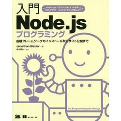 入門Node.jsプログラミング―各種フレームワークのインストールからサイト公開まで [単行本]