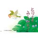 紙芝居 とりのす みーつけた！（年少向けかみしばい どうぶつ こんにちは！） [紙しばい]