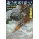 電子要塞を潰せ!―制圧攻撃機突撃す(文芸社文庫) [文庫]