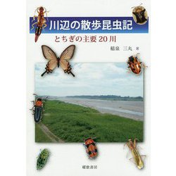 川辺の散歩昆虫記―とちぎの主要20川 [単行本]