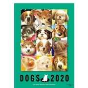 村松誠犬カレンダー 2020 [カレンダー]