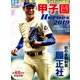 甲子園Heroes 2019 2019年 9/5号 [雑誌]