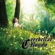 セレベラー・ロンド／ザ・リアライジング