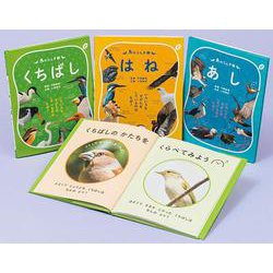 鳥のふしぎ 全3巻-いろいろなすがたをしているのは なぜ？ [図鑑]