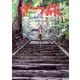 ざつ旅-That's Journey- １<1>(電撃コミックスＮＥＸＴ) [コミック]