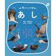 鳥のふしぎ3 あし-いろいろなすがたをしているのは なぜ？ [図鑑]