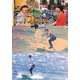 岡本信彦&前野智昭 のぶ旅ハワイ with WAVE!! [DVD]