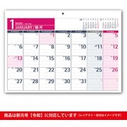 C116 NOLTYカレンダー壁掛け17 [2020年1月始まり]