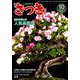 さつき研究 2019年 10月号 [雑誌]