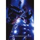 ヒトリエ／HITORIE LIVE TOUR UNKNOWN 2018 "Loveless" - 2017 "IKI" [DVD]