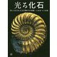 光る化石―美しい石になった古生物たちの図鑑 [単行本]