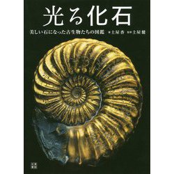 光る化石―美しい石になった古生物たちの図鑑 [単行本]