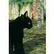 大人になるまでに読みたい15歳の海外の詩〈1〉愛と季節 [全集叢書]