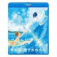 きみと、波にのれたら [Blu-ray Disc]