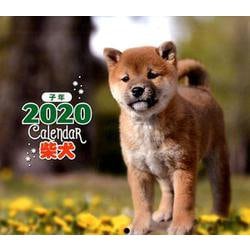 ヨドバシ Com 年 ミニ判カレンダー 柴犬 カレンダー ムックその他 通販 全品無料配達