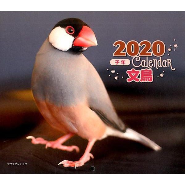 2020年 ミニ判カレンダー 文鳥（カレンダー） [カレンダー]