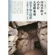 河内平野をのぞむ大型群集墳 高安千塚古墳群（シリーズ「遺跡を学ぶ」<138>） [単行本]