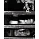 逃亡者 (THE RKO COLLECTION) [Blu-ray Disc]
