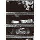 逃亡者 HDマスター (THE RKO COLLECTION) [DVD]