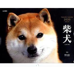 ヨドバシ Com 柴犬カレンダー 2020 単行本 通販 全品無料配達