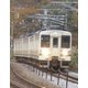鉄道アーカイブシリーズ59 上越線の車両たち 上州 水上篇 上越線(沼田～水上) [DVD]
