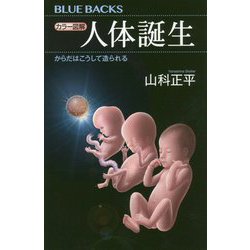カラー図解 人体誕生―からだはこうして造られる(ブルーバックス) [新書]
