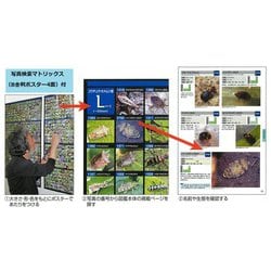 ヨドバシ.com - 新版 昆虫探検図鑑1600-写真検索マトリックス付 [図鑑