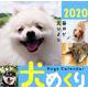 犬めくりCalendar 2020 [カレンダー]