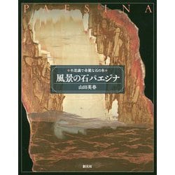 ヨドバシ.com - 風景の石パエジナ―不思議で奇麗な石の本 [全集叢書 