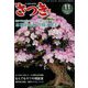 さつき研究 2019年 11月号 [雑誌]
