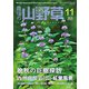 趣味の山野草 2019年 11月号 [雑誌]