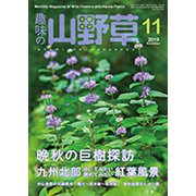 趣味の山野草 2019年 11月号 [雑誌]