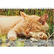 ノートカレンダーねこ 2020 [カレンダー]