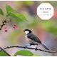 身近な野鳥CALENDAR 2020 [カレンダー]