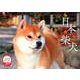 日本の柴犬カレンダー 2020 [カレンダー]