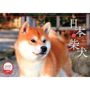 日本の柴犬カレンダー 2020 [カレンダー]