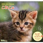 こねこカレンダー 2020 [カレンダー]