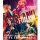 FTISLAND／JAPAN LIVE TOUR 2019 -FIVE TREASURES- at WORLD HALL [Blu-ray Disc]