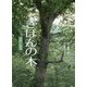 きほんの木―大きくなる [絵本]