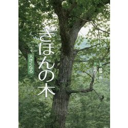 きほんの木―大きくなる [絵本]