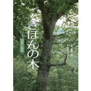 きほんの木―大きくなる [絵本]