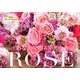 鏡リュウジあなたに贈る幸せのROSE Calendar 20 [カレンダー]